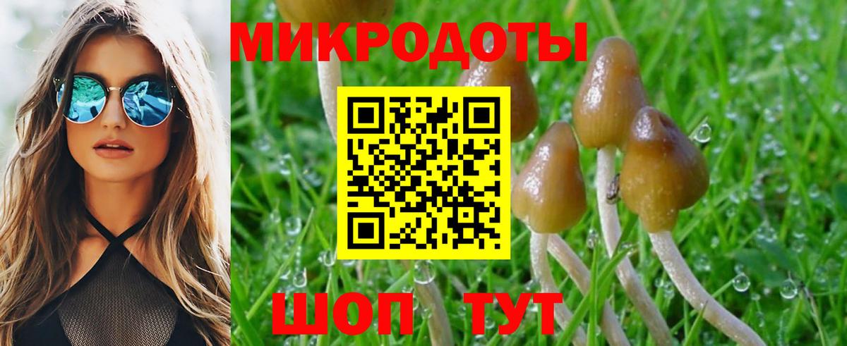 Ачинск  Галлюциногенные грибы Psilocybine cubensis  Вход с VPN 